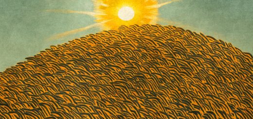 Stock Screeners January 2024