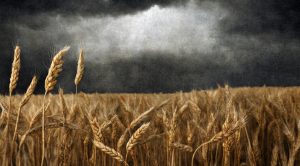 Stock Screeners March 2024 (Stock Screeners March 2024)