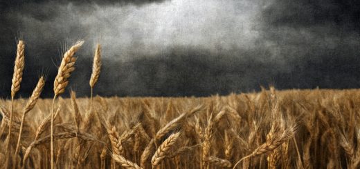 Stock Screeners March 2024