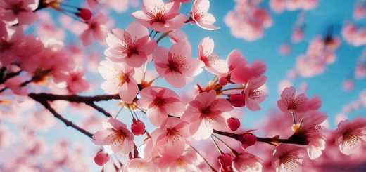 Investor Diary April 2024