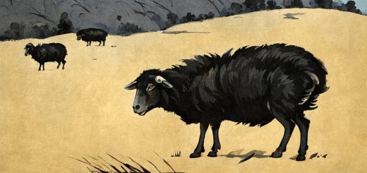 Irregular roundup 240506