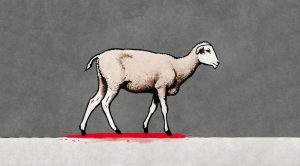 Irregular Roundup 240812 (Irregular Roundup, 12th August 2024)