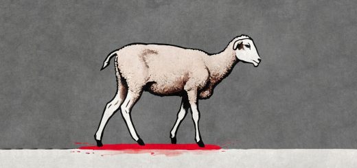 Irregular Roundup 240812