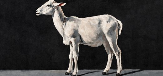 Irregular roundup 240826