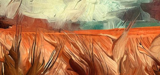 Stock Screeners July 2024