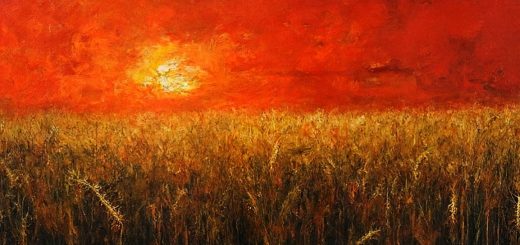 Stock Screeners August 2024